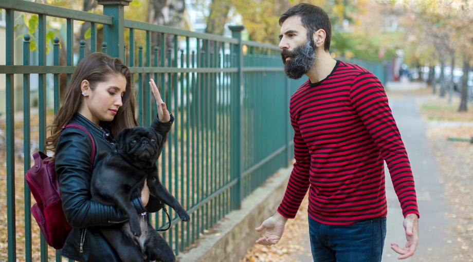 pet custody